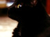View full size picture
