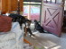 View full size picture