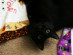 View full size picture