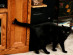 View full size picture
