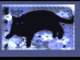 View full size picture