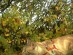 View full size picture