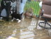 View full size picture
