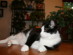 View full size picture