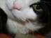 View full size picture