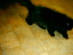 View full size picture