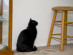 View full size picture
