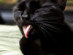 View full size picture