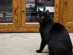 View full size picture