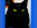 View full size picture