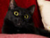 View full size picture