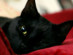 View full size picture