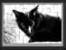 View full size picture