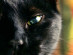 View full size picture