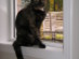 View full size picture