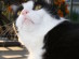 View full size picture
