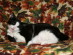 View full size picture