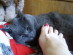 View full size picture