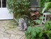 View full size picture