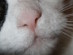 View full size picture