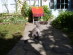 View full size picture