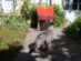 View full size picture