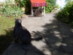 View full size picture
