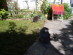 View full size picture
