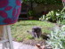 View full size picture