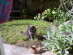 View full size picture