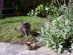 View full size picture