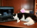 View full size picture