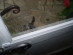 View full size picture