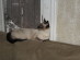 View full size picture