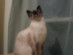 View full size picture