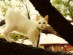View full size picture