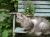 View full size picture