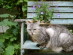 View full size picture
