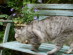 View full size picture