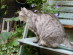 View full size picture