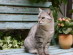 View full size picture