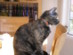 View full size picture