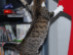 View full size picture