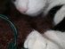 View full size picture