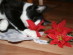 View full size picture