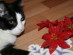 View full size picture