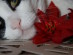 View full size picture